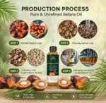 AVD ORGANICS Batana Oil for Hair Growth 4.05 fl oz | Dr Sebi Organic Raw Batana Oil from Honduras | 100% Pure & Natural for thicker & stronger Hair | Ideal for Men & Women | 120ML - Image 6