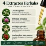 Drenaje Linfático, Fórmula Herbal 4 en 1 con Galio, Trébol Rojo, Stillingia y Fresno Espinoso, Apoyo al Sistema Linfático, Equilibrio de Líquidos, Depuración Natural, Fórmula Vegana, 2 Fl Oz - Image 5