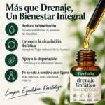 Drenaje Linfático, Fórmula Herbal 4 en 1 con Galio, Trébol Rojo, Stillingia y Fresno Espinoso, Apoyo al Sistema Linfático, Equilibrio de Líquidos, Depuración Natural, Fórmula Vegana, 2 Fl Oz - Image 4