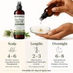 Aromatico Tea Tree Oil for Scalp Health & Hair Fall Control, 7 Fl Oz - Image 7
