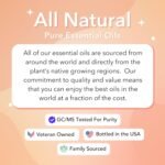 Vitality Extracts Hair Envy - Natural Hair Growth Serum - 100% Pure Essential Oils, 15 Plant Extracts, No Synthetics, No Parabens - Strengthen Hair, Minimize Breakage, Stimulate Follicles - Image 8