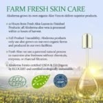 Aloderma Aloe Vera Gel Made within 12 Hours of Harvest with 96% Pure Organic Aloe Vera for Skin, Scalp, & Hair, Soothing Aloe Face Moisturizer, Multipurpose, Hydrating Aloe Gel, 7.05oz - Image 6