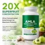 Organic Amla Capsules, 1000mg 20X Superfruit Concentrate, Organic Amla Fruit Powder Supplement, Ayurvedic Daily Wellness Formula with Natural Antioxidants, Non-GMO, 120 Capsules - Image 3