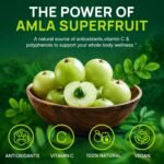Organic Amla Capsules, 1000mg 20X Superfruit Concentrate, Organic Amla Fruit Powder Supplement, Ayurvedic Daily Wellness Formula with Natural Antioxidants, Non-GMO, 120 Capsules - Image 7