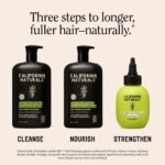California Naturals Men's Re: Gro Anti-Thinning Scalp Serum, 5% Capixyl with Biotin, Caffeine & Castor and Rosemary Oil, Non-Sticky Cooling Formula, Vegan & Cruelty Free, 3oz - Image 12