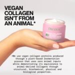 Pacifica Night Face Cream - Vegan Collagen Overnight Recovery Cream, Nighttime Face Cream for Anti-Aging & Wrinkles, Improves Dry Skin & Redness Vegan, Clean Beauty, Dermatologist Tested - Image 5