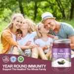 15 OZ Irish Sea Moss Gel, Raw Sea Moss and Elderberry Mixture - Image 6